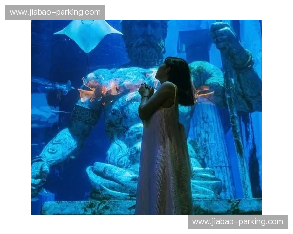 探索神秘海底世界畅享潜水体验之旅感受蓝色星球独特魅力