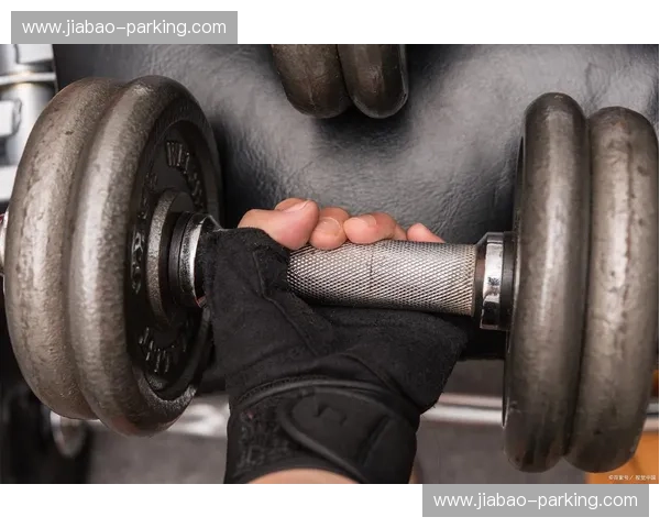 全方位解析全年运动规划与训练提升的高效入门进阶攻略精选集大全