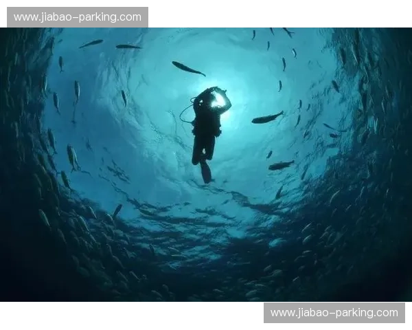 极限承受力探索与人类心理与身体极限的全面研究